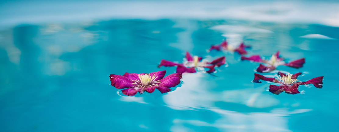 Blüten im Wasser
